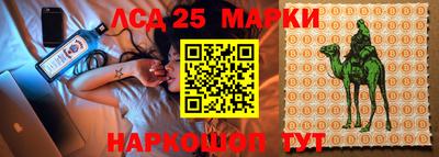 гашик Лесосибирск