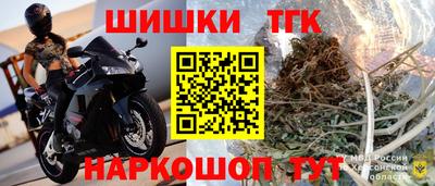 гашик Лесосибирск