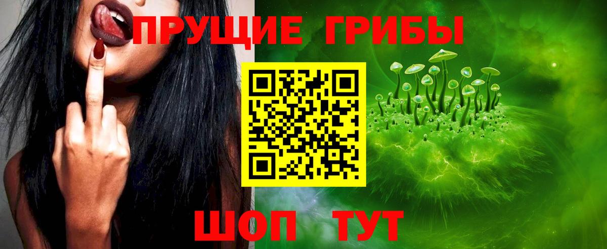 Галлюциногенные грибы Cubensis Чебоксары